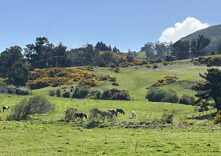 560 Brighton Road Westwood_26