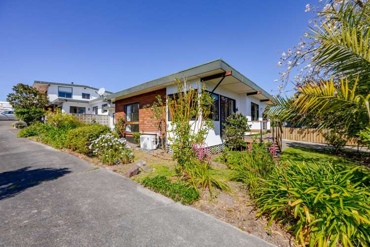 1/11 Goodger Street Waipukurau_1