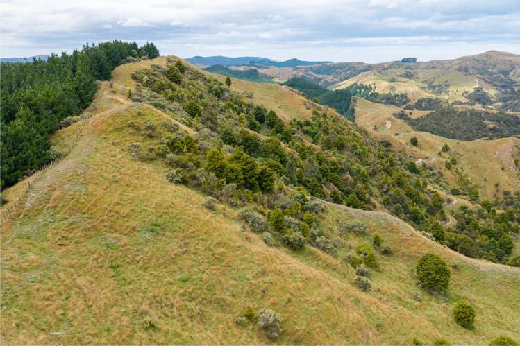 310 Branscombe Road Akitio_11