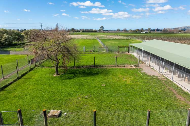 519 Old Renwick Road Springlands_30