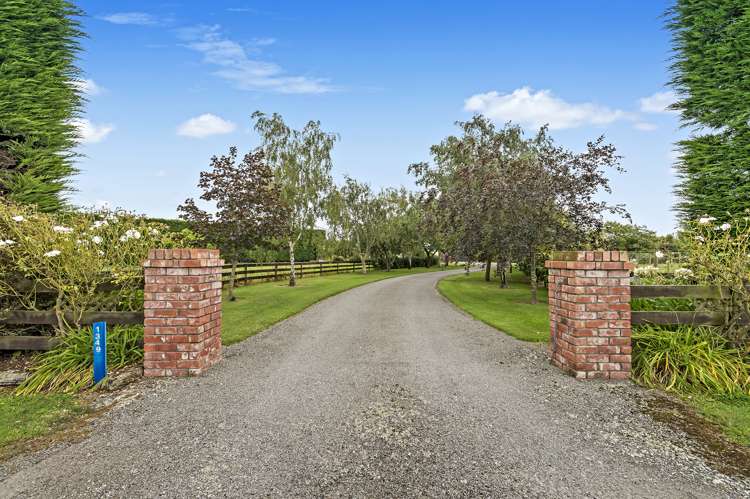 1349 Tramway Road Dunsandel_2