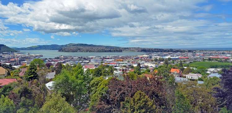 118 Stafford Street Dunedin Central_4