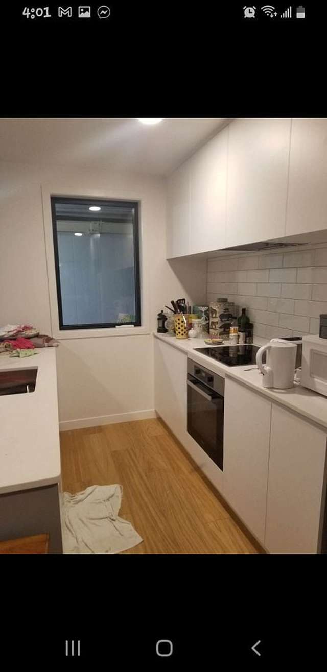 238 Princes Street East Otahuhu_4