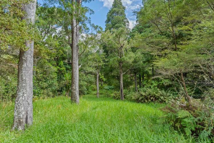 2395f State Highway 1 Brynderwyn_16