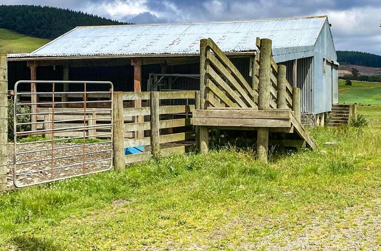 111 Slaughterhouse Road Otautau_10