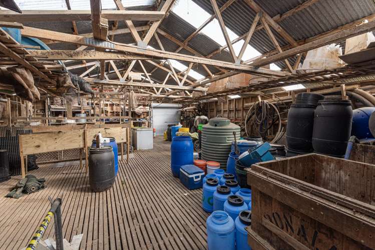 878 Russell Road Whakapara_15