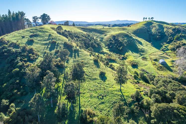 Waipuna Rd Oparau_11