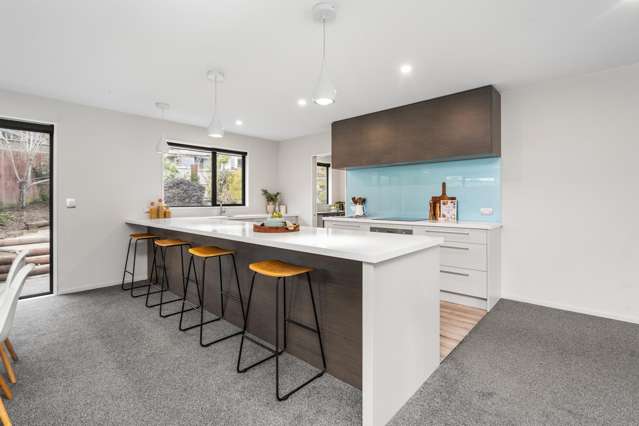 10 Lucas Lane Hillsborough_3