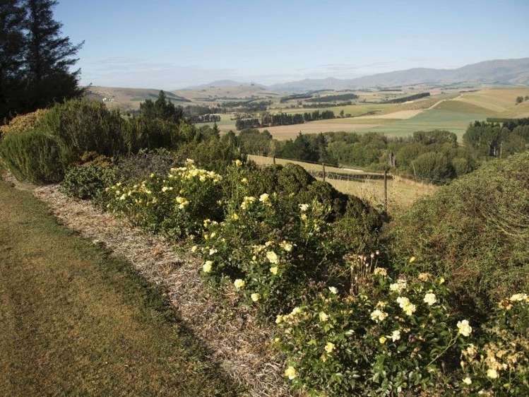 126 Mcphersons Road Taiko_27