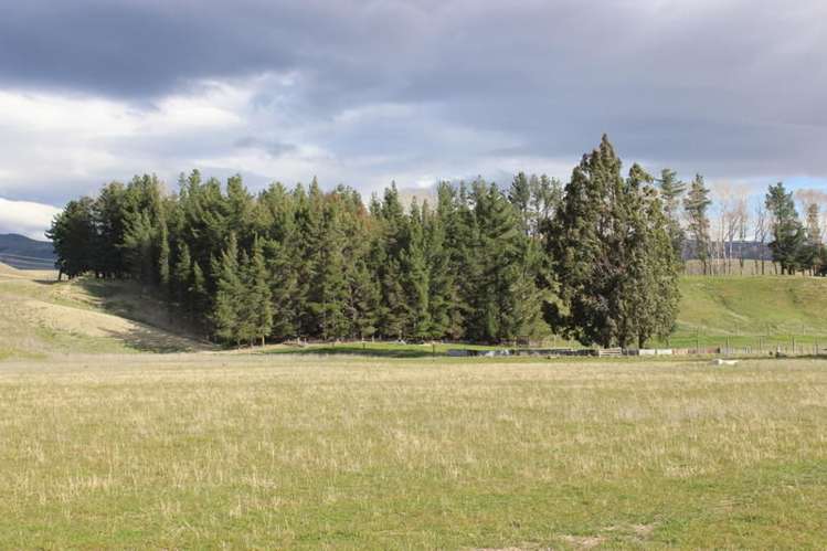 522 Ardgour Road Westland Surrounds_10