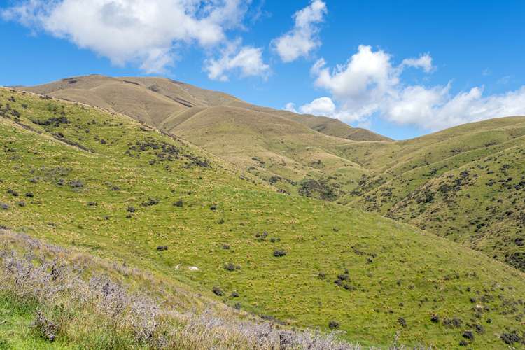 330 Wilfred Road Albury_6