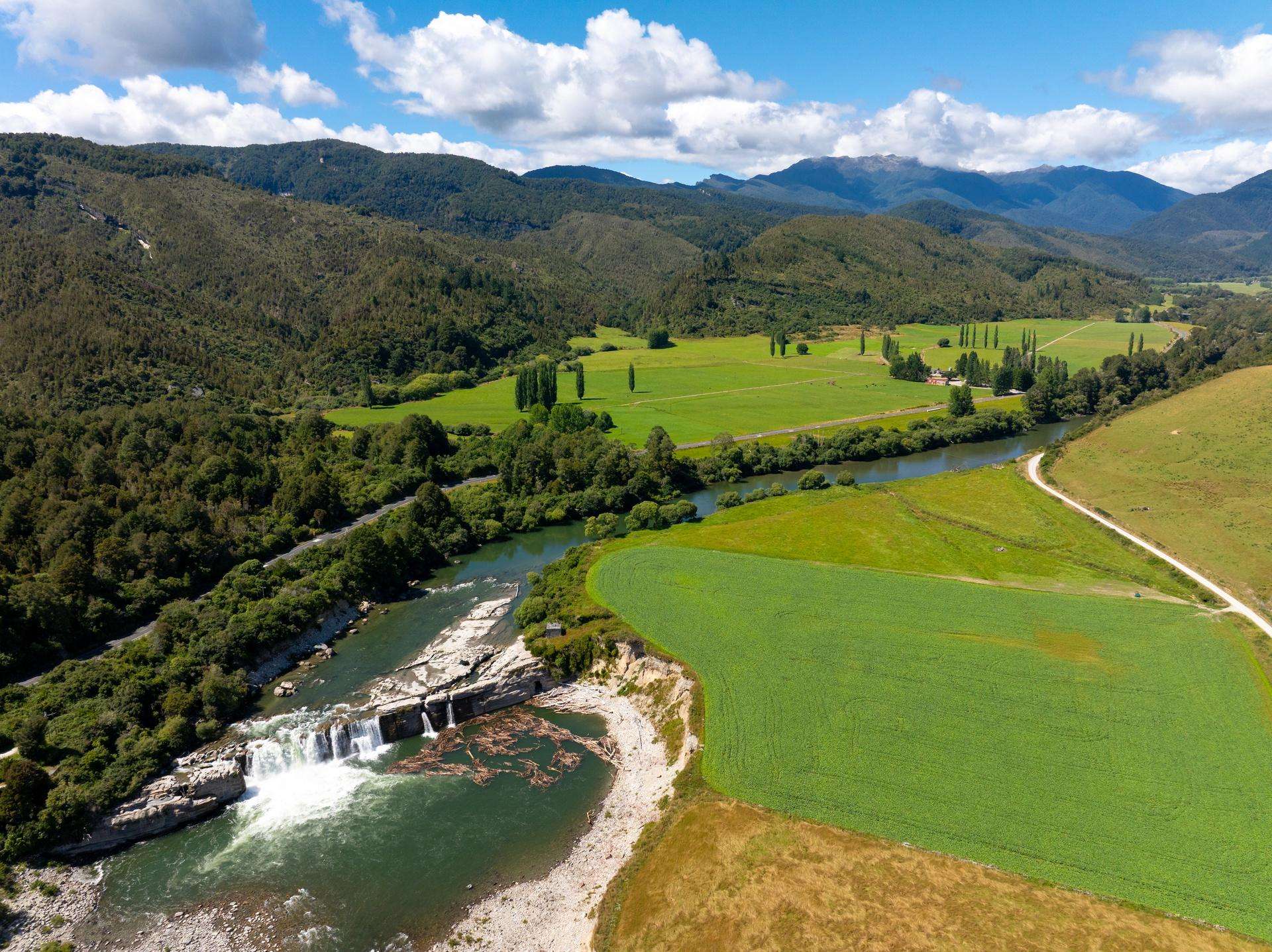 1153 Shenandoah Highway Murchison_0