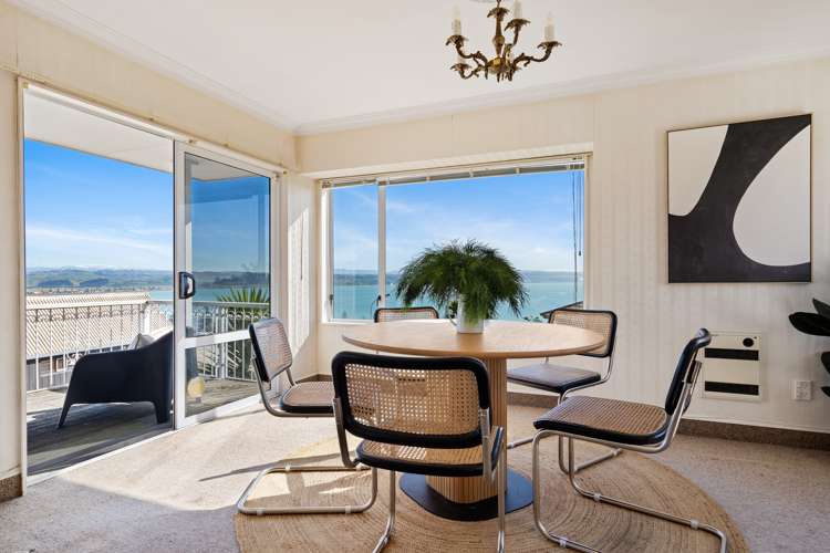 19 Roslyn Road Bluff Hill_5