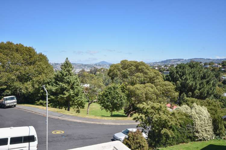 42 Aytoun Street Waverley_18