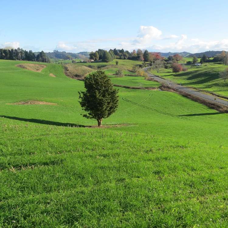Waitomo Caves Road Waitomo_13