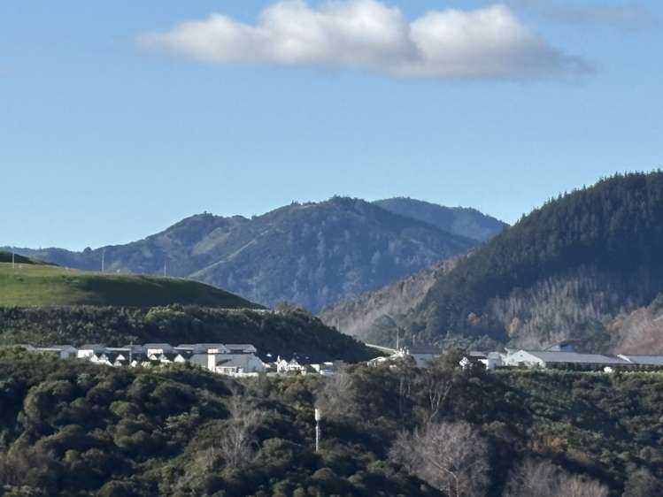 6 Calamaras Street Enner Glynn_19