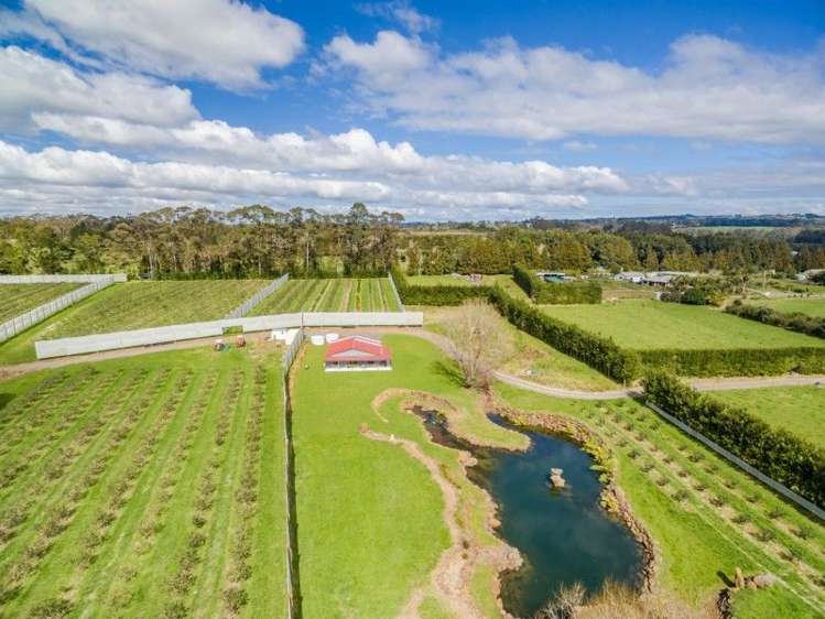 145a Waimate North Road Kerikeri_19