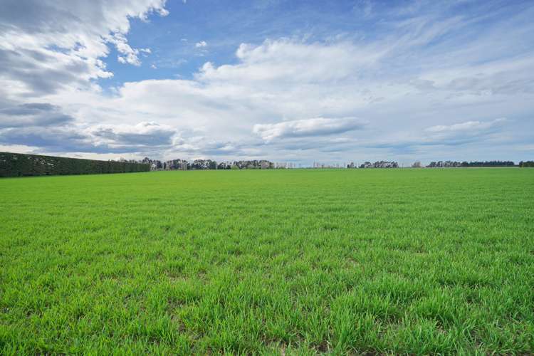 1322 South Eyre Road Swannanoa_3