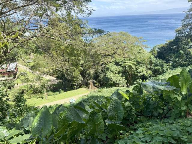 Lot 3 Daku Savusavu_2