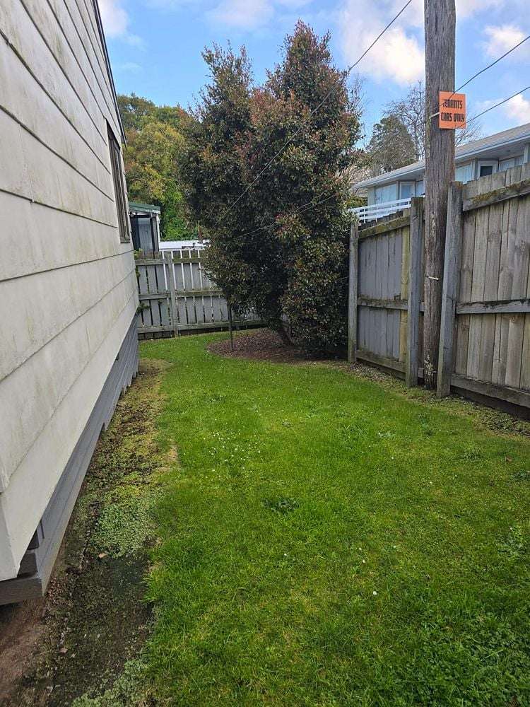 46A Boundary Road Claudelands_9