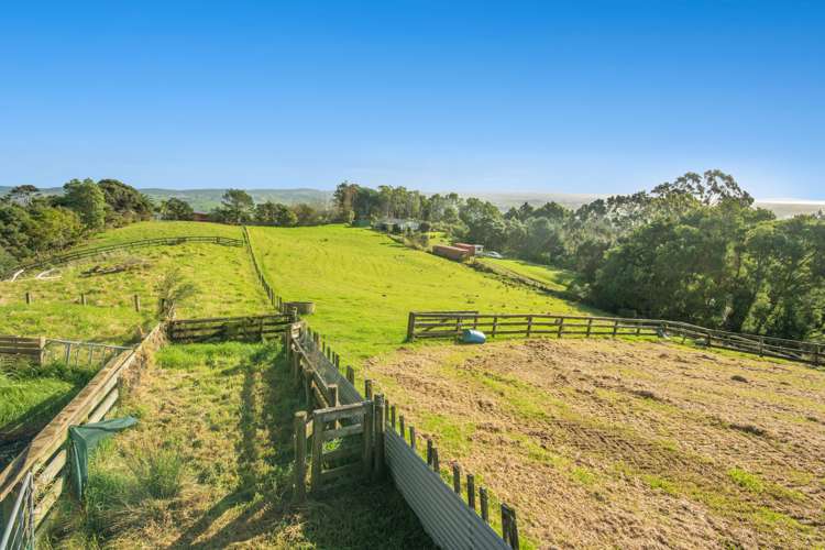 236 Wishart Road Helensville_52