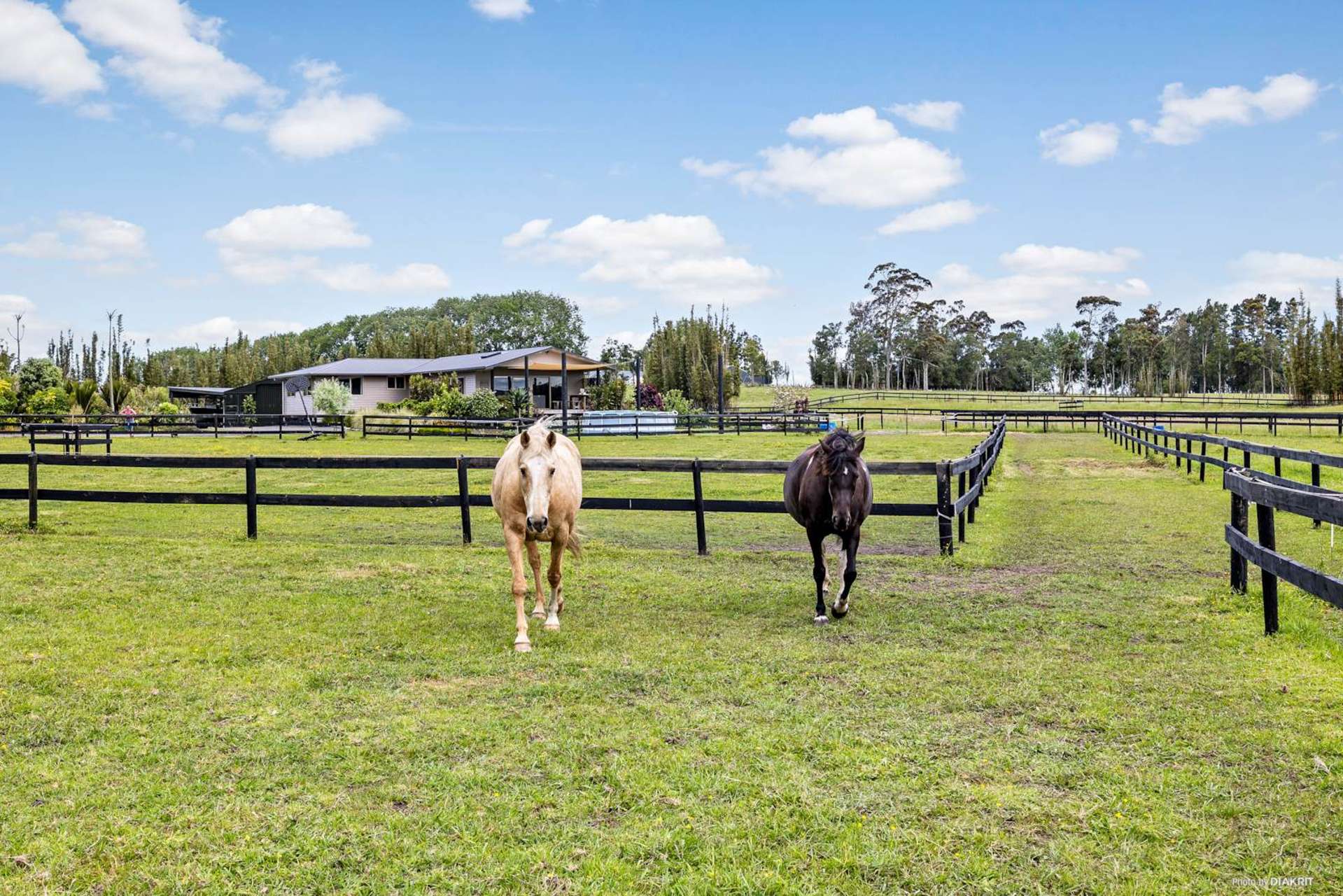 155 Sandys Road Kerikeri Surrounds_0