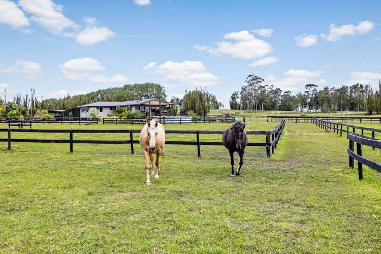 155 Sandys Road Kerikeri Surrounds_0