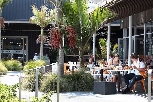 Stonefields030220NZHHSTONEF2