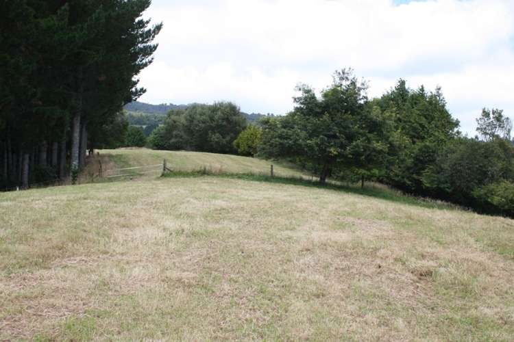 303 Arthur Road Te Pahu_2