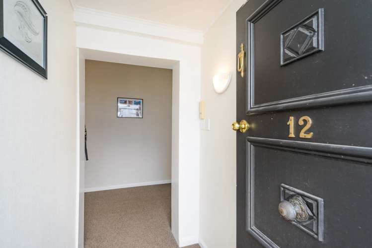 12 Dahlia Street Palmerston North Central_11