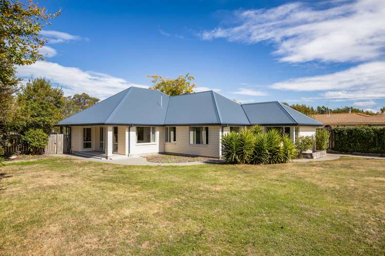 5 Dover Street Leithfield_12