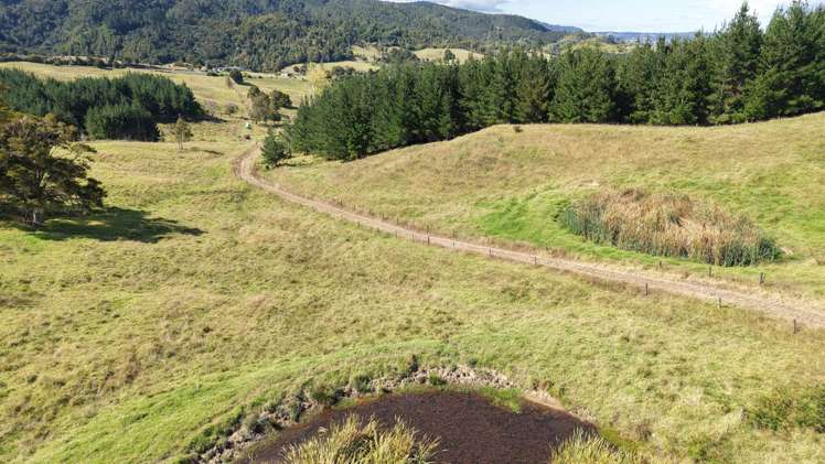 2934 State Highway 1 Umawera_7