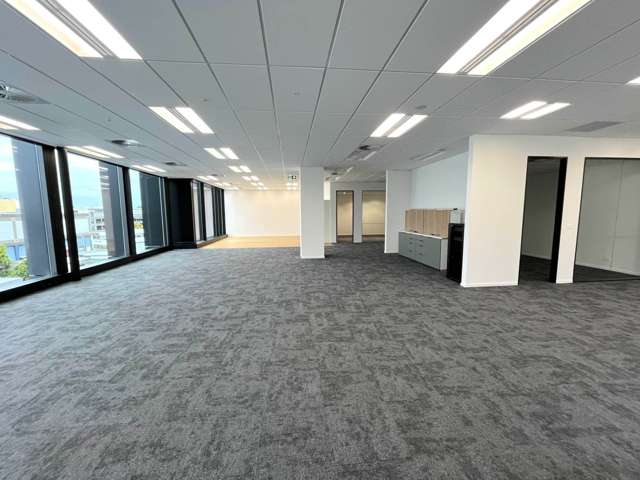 110 Carlton Gore Road Newmarket_2