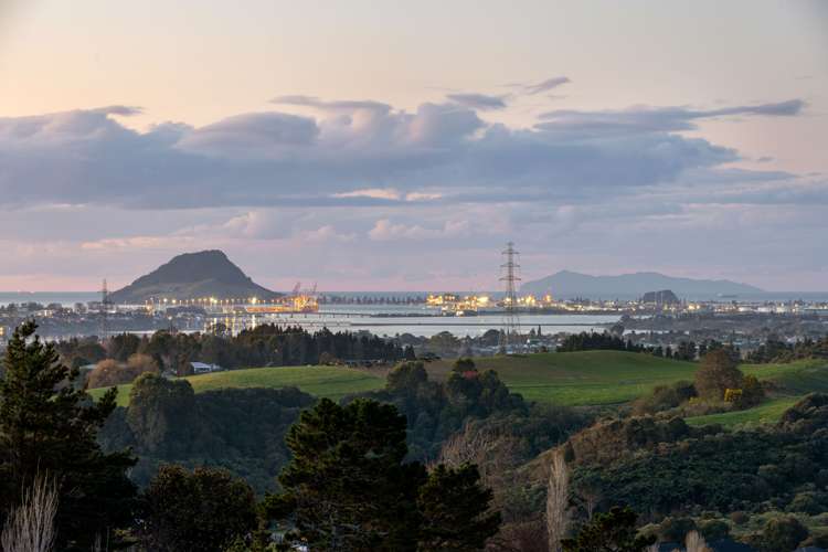 393 Upper Ohauiti Road Ohauiti_23