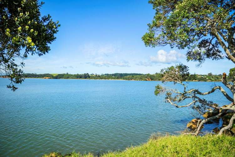 144 Kauri Road Awhitu_18