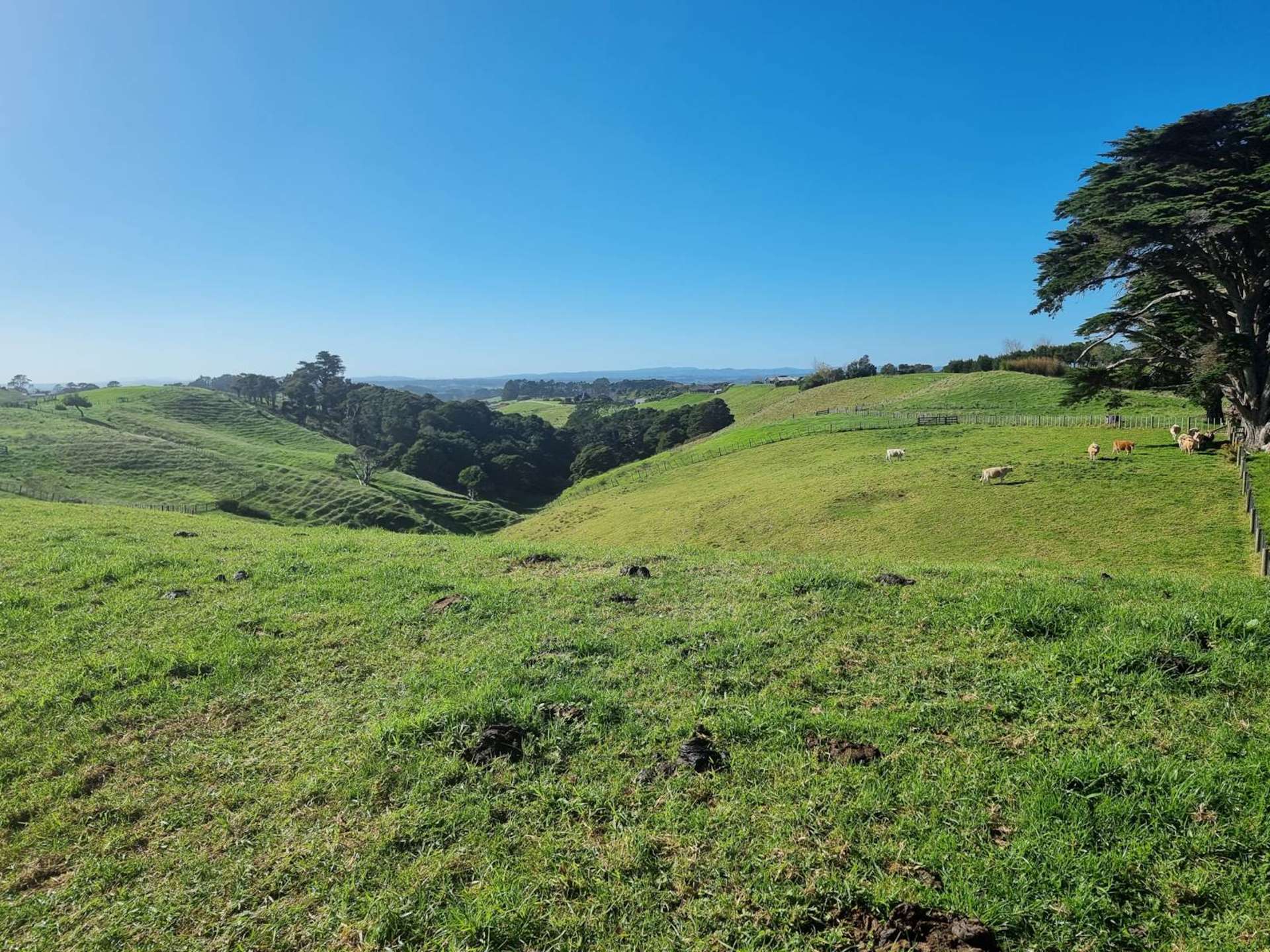 1190 Awhitu Road Waiuku_0