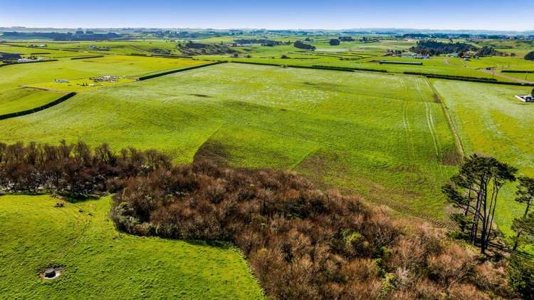 5B2A Hastings Road Okaiawa_10