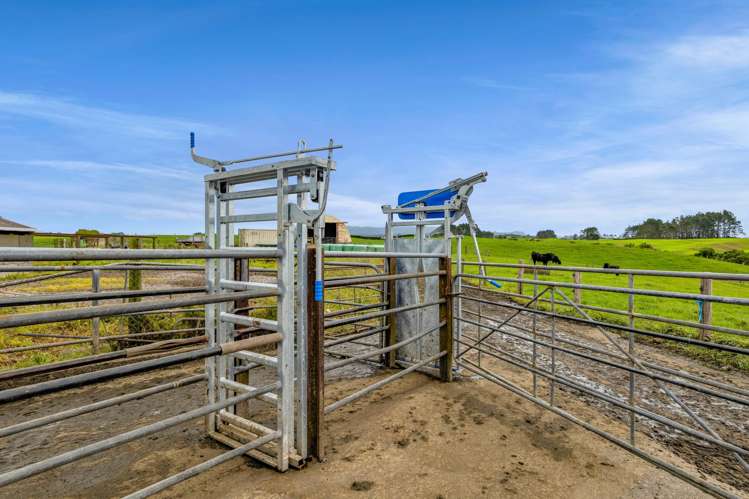 358 Opunake Road Cardiff_20