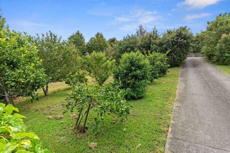 120 Percy Street Warkworth_20