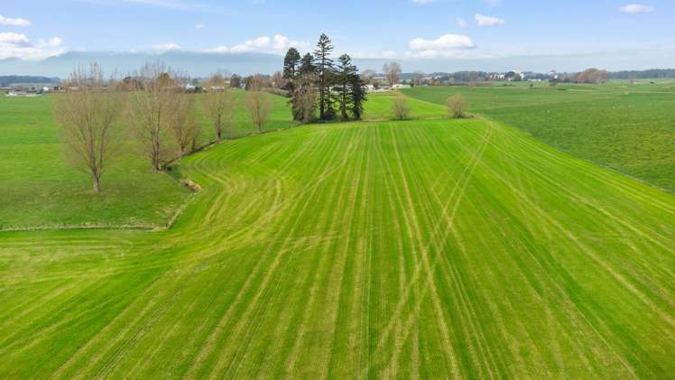 Lot 2 Landsdowne Road Waharoa_6