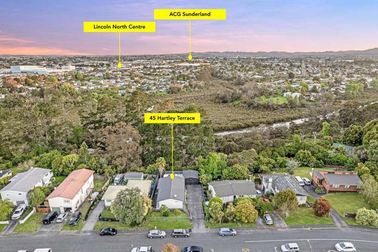 45 Hartley Terrace Massey_20