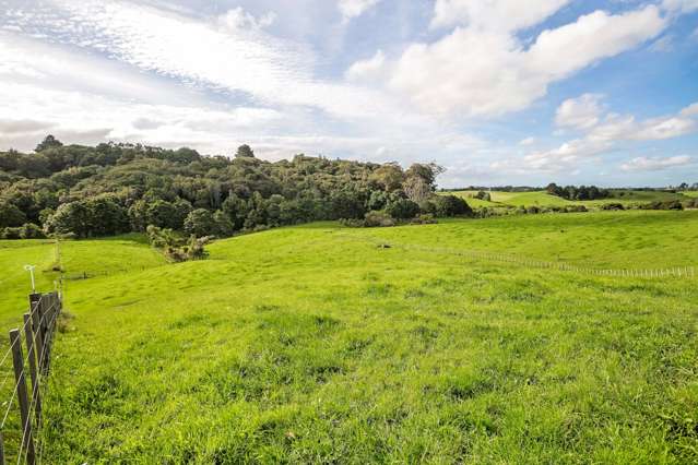 159 Findlay Road Mauku_3