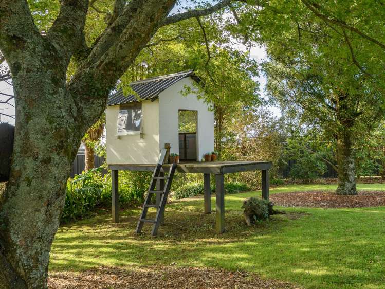 86 Prole Road Omokoroa_5