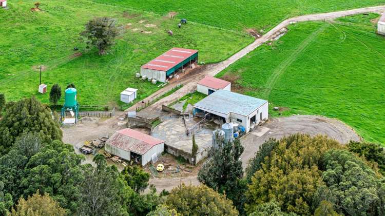 885 Carrington Road Hurworth_9