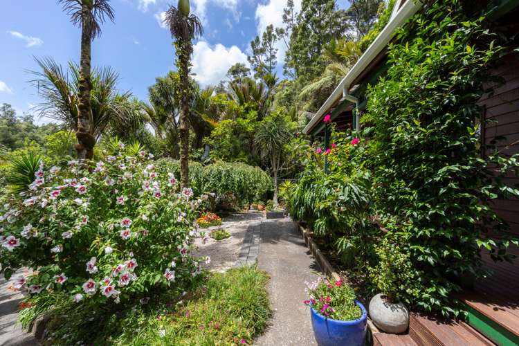 9 Valley Road Titirangi_14