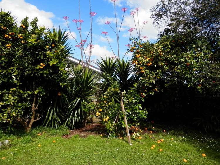 16 Great South Road Ngaruawahia_14