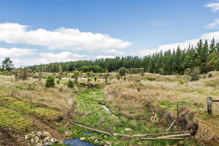 49B Dalbeg Road Balcairn_10