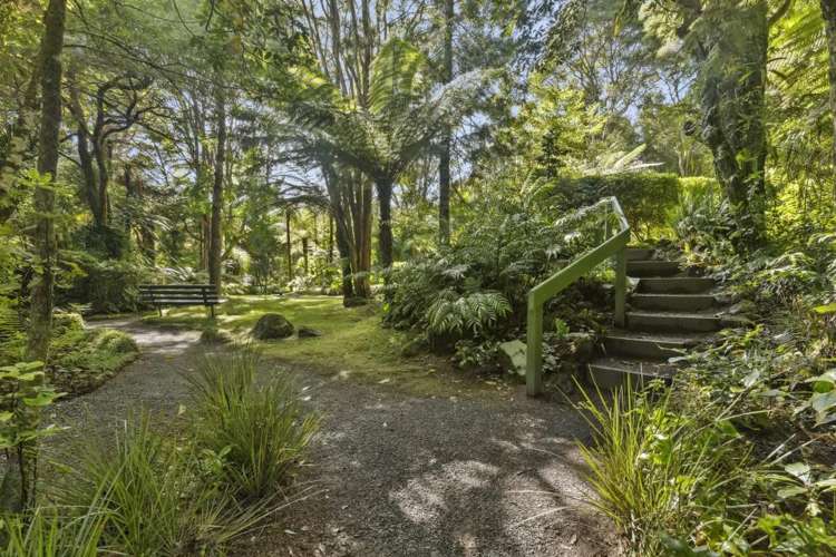586 Tapu Coroglen Road Tapu_7