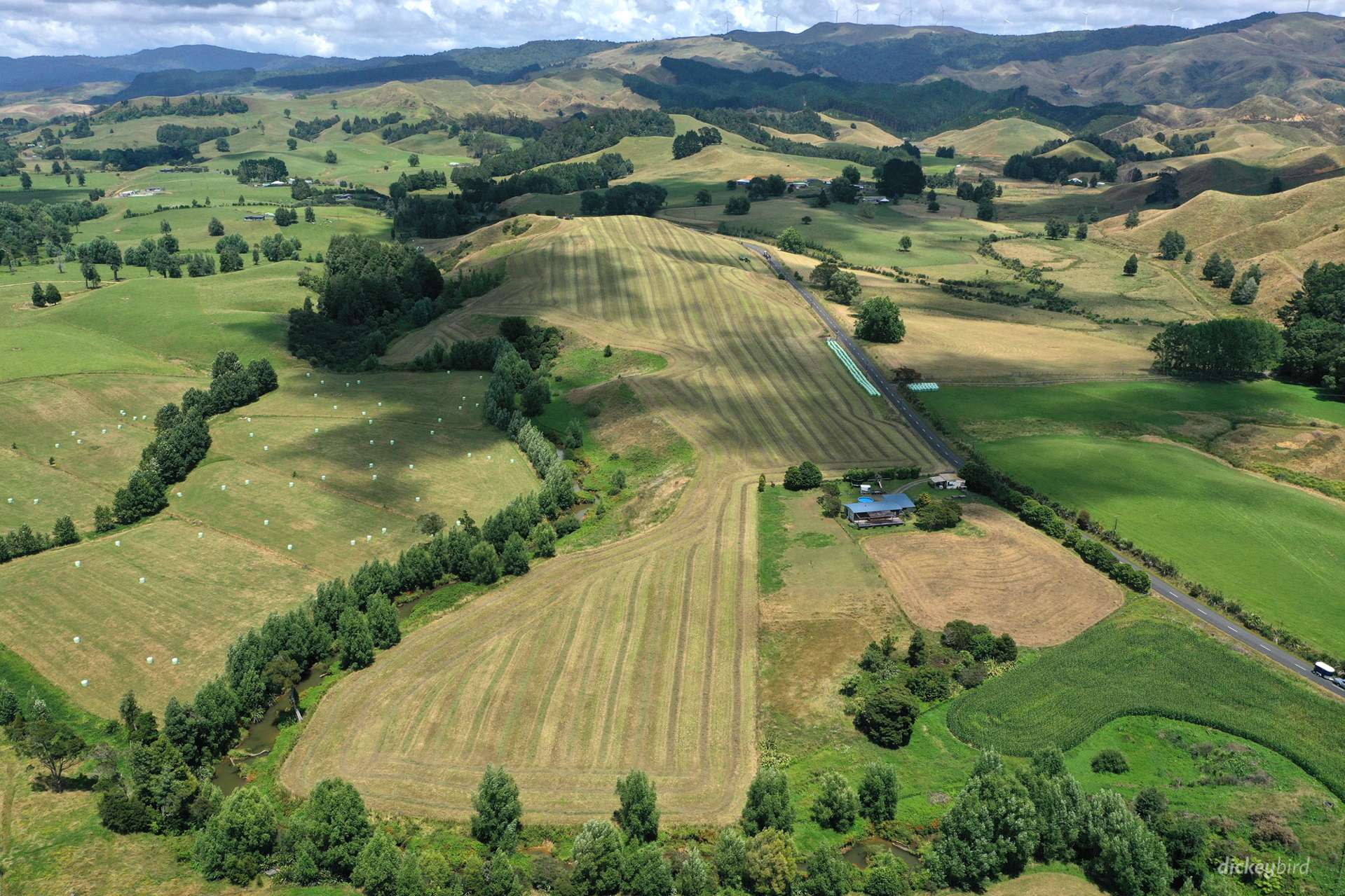 211 Waitetuna Valley Road Raglan_0