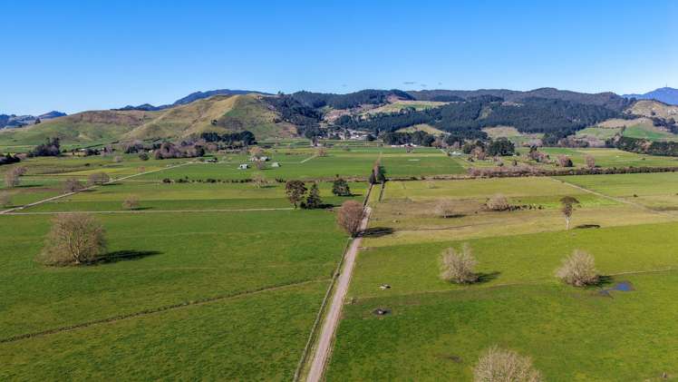 6379 State Highway 26, Tirohia Paeroa_25
